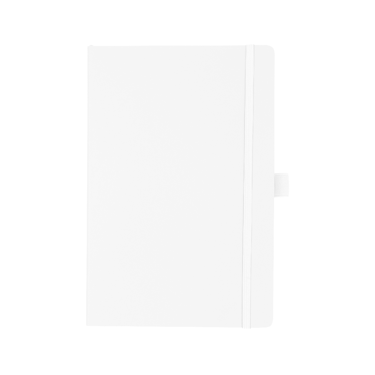 Apple Skin Journal 21