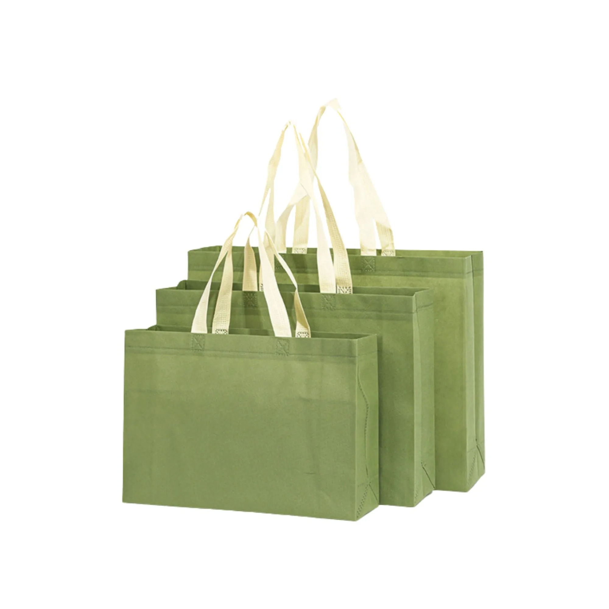 Reusable Eco Friendly Shopping Bag 19