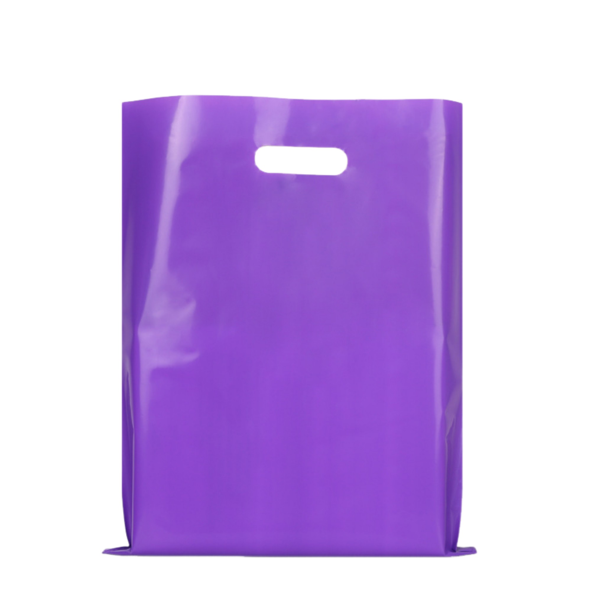 Polyethylene Die Cut Plastic Bag 9.8" x 13.8" 15