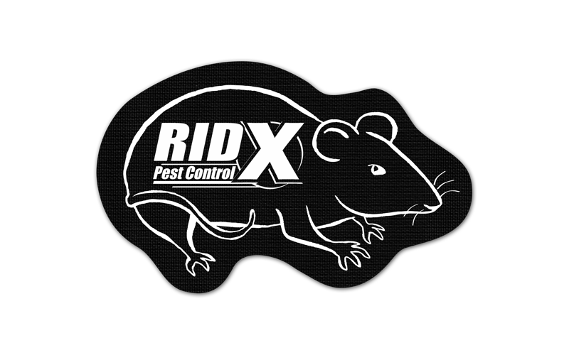 Rat/Mouse Vinyl Jar Opener 12