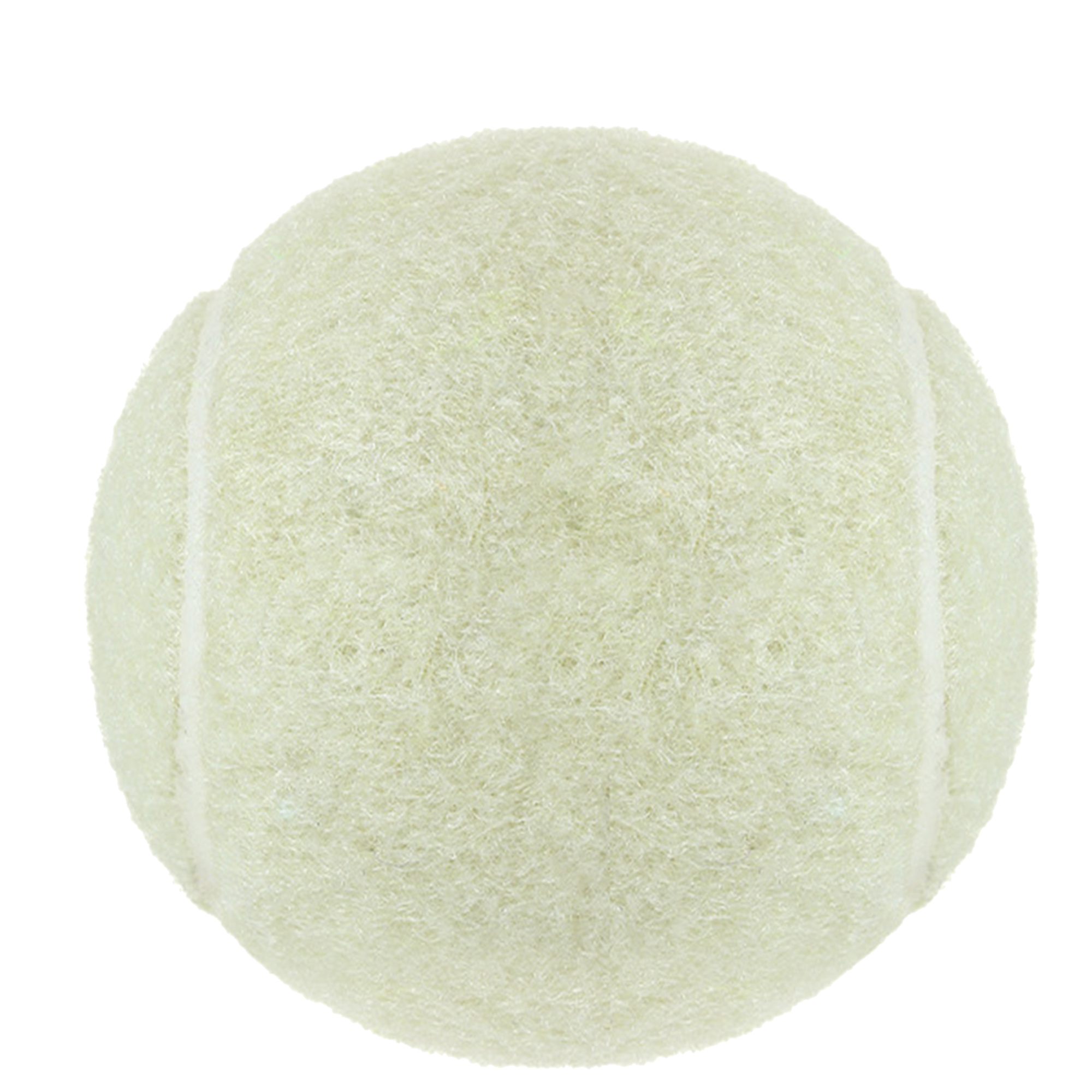 Customizable Dog Play Ball 14