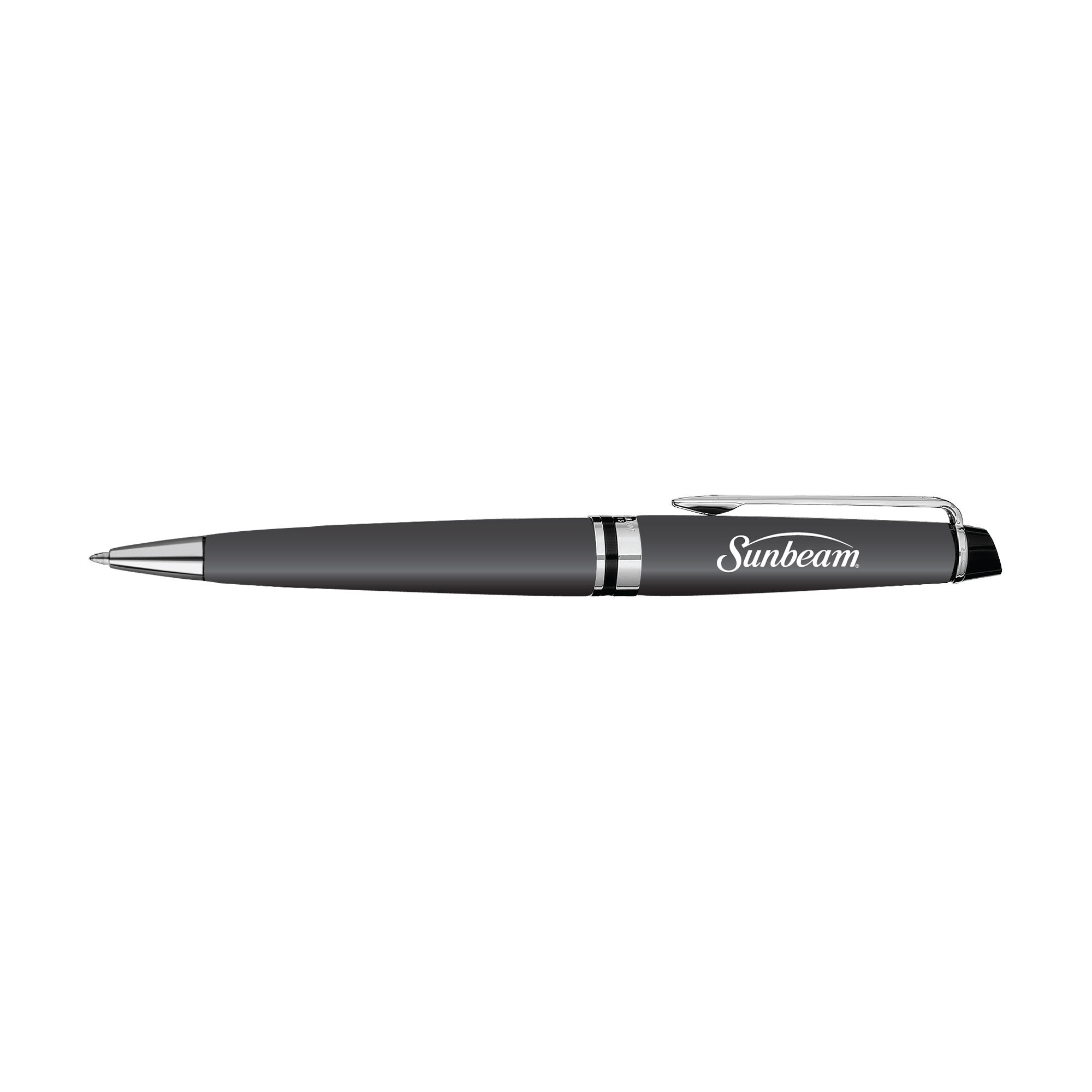 Waterman Expert Ballpoint - Matte 2