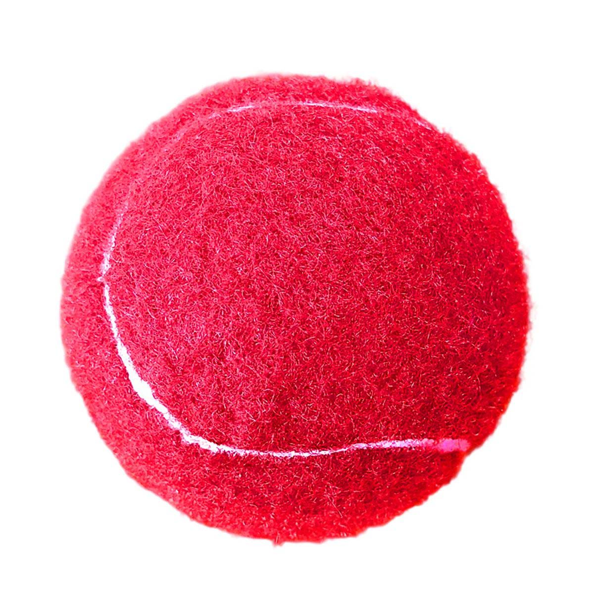 Rubber Pet Tennis Ball for Dogs 2.5 Inch 4