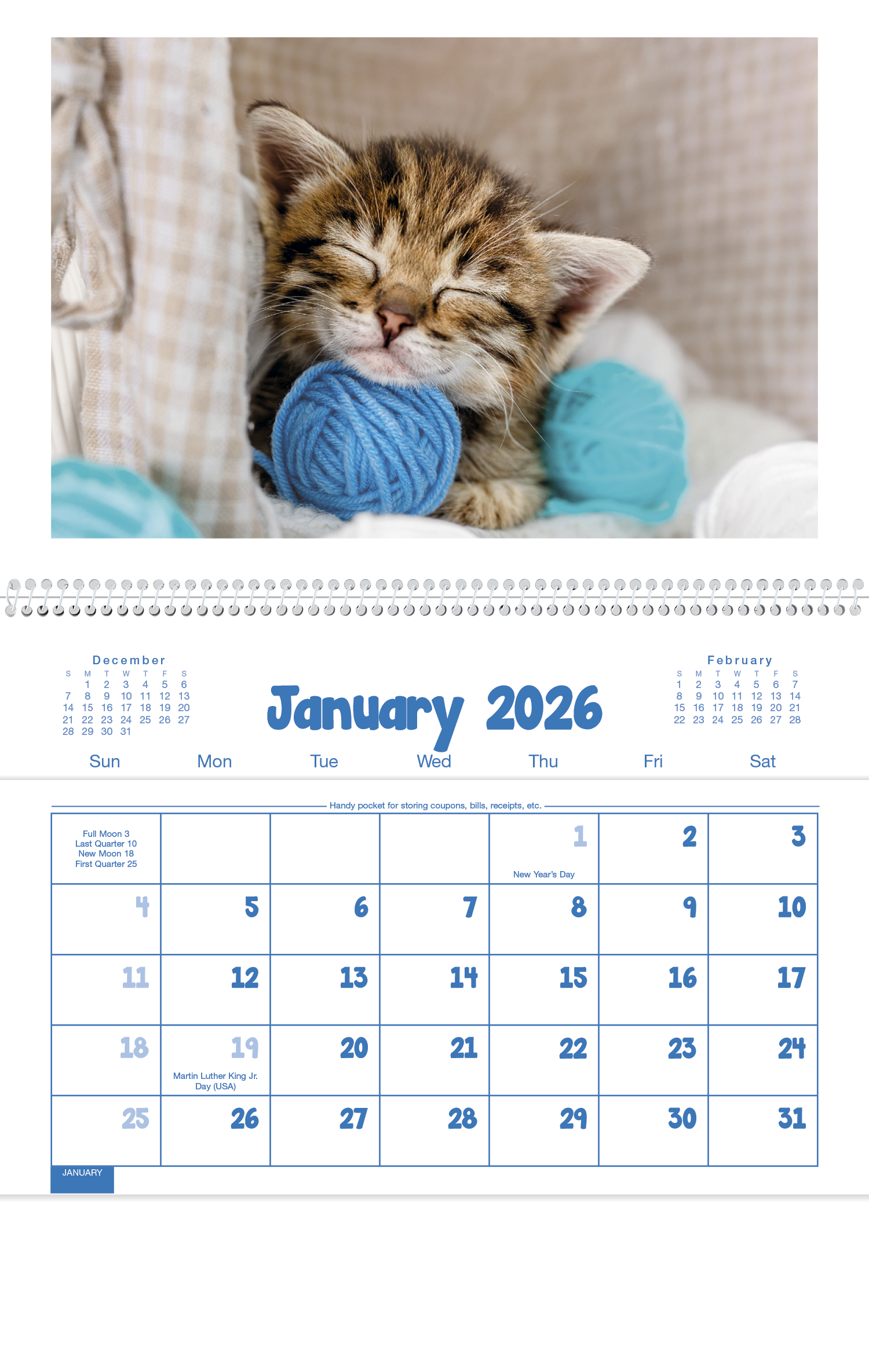 Triumph® Calendars Puppies & Kittens Pocket Calendar 13