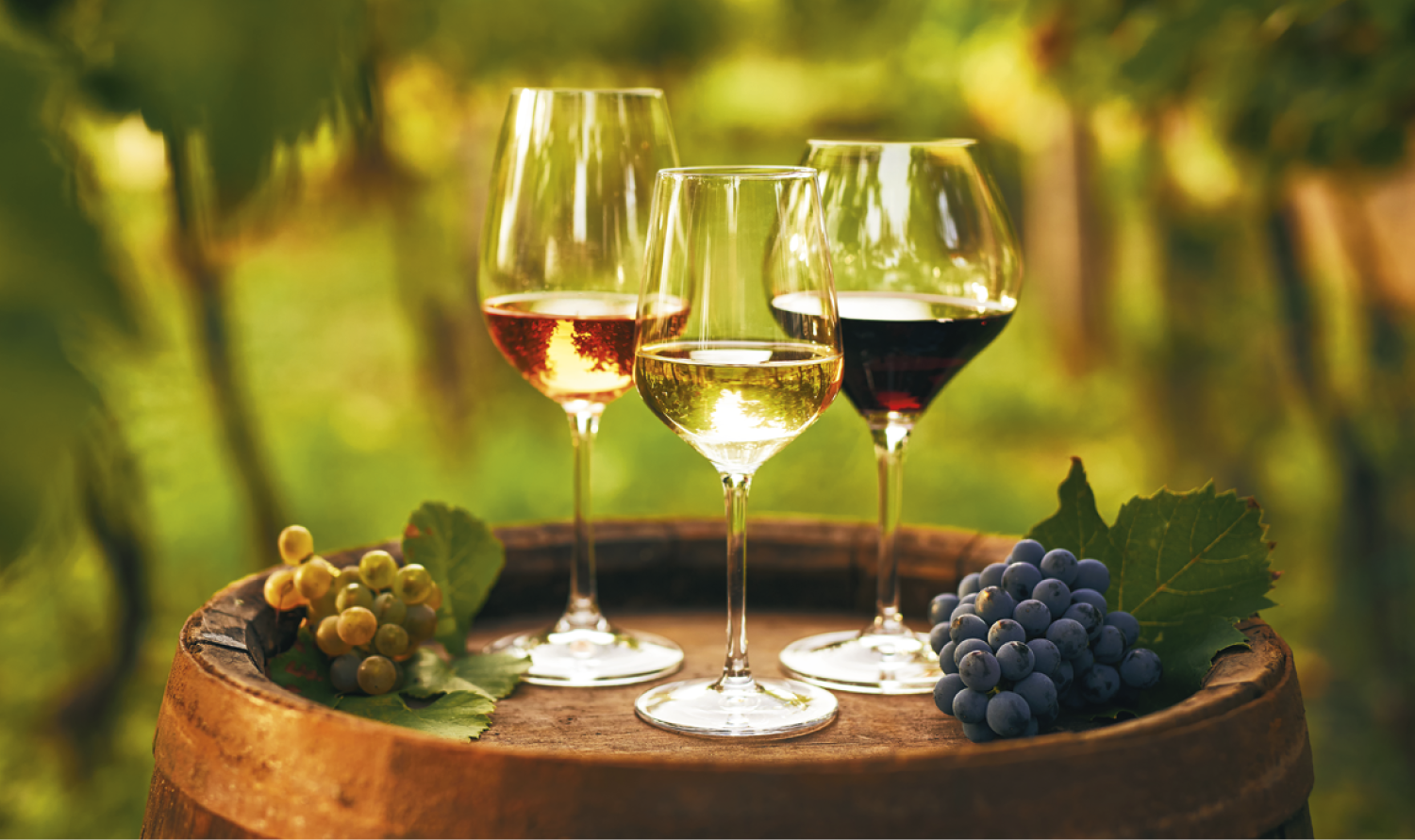 Triumph® Calendars Single Pocket Calendar 10