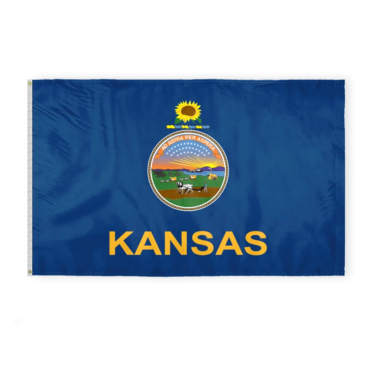 12"x18" to 8'x12' Kansas Nylon Flags 7