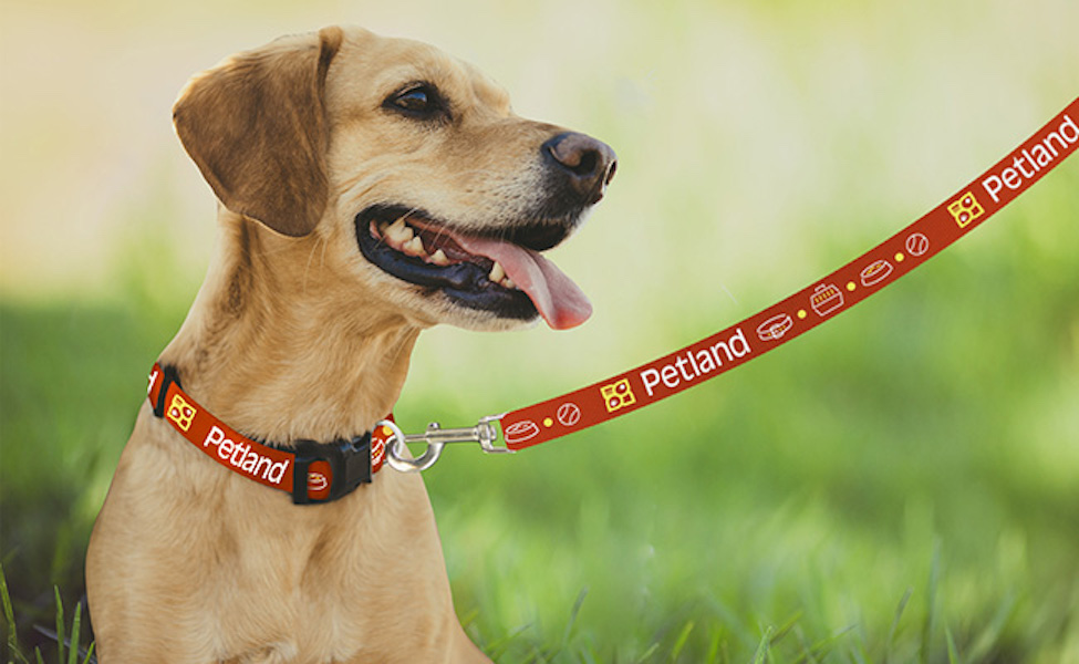 Pantone Matched Leash