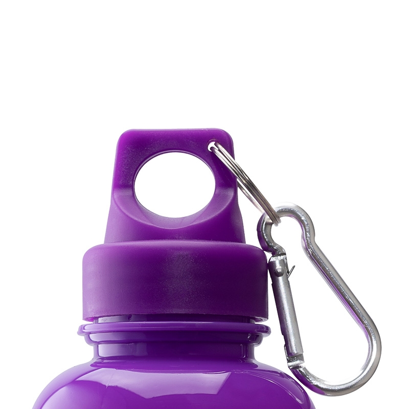 Brio 20 oz. PS Water Bottle w/ Carabiner 55