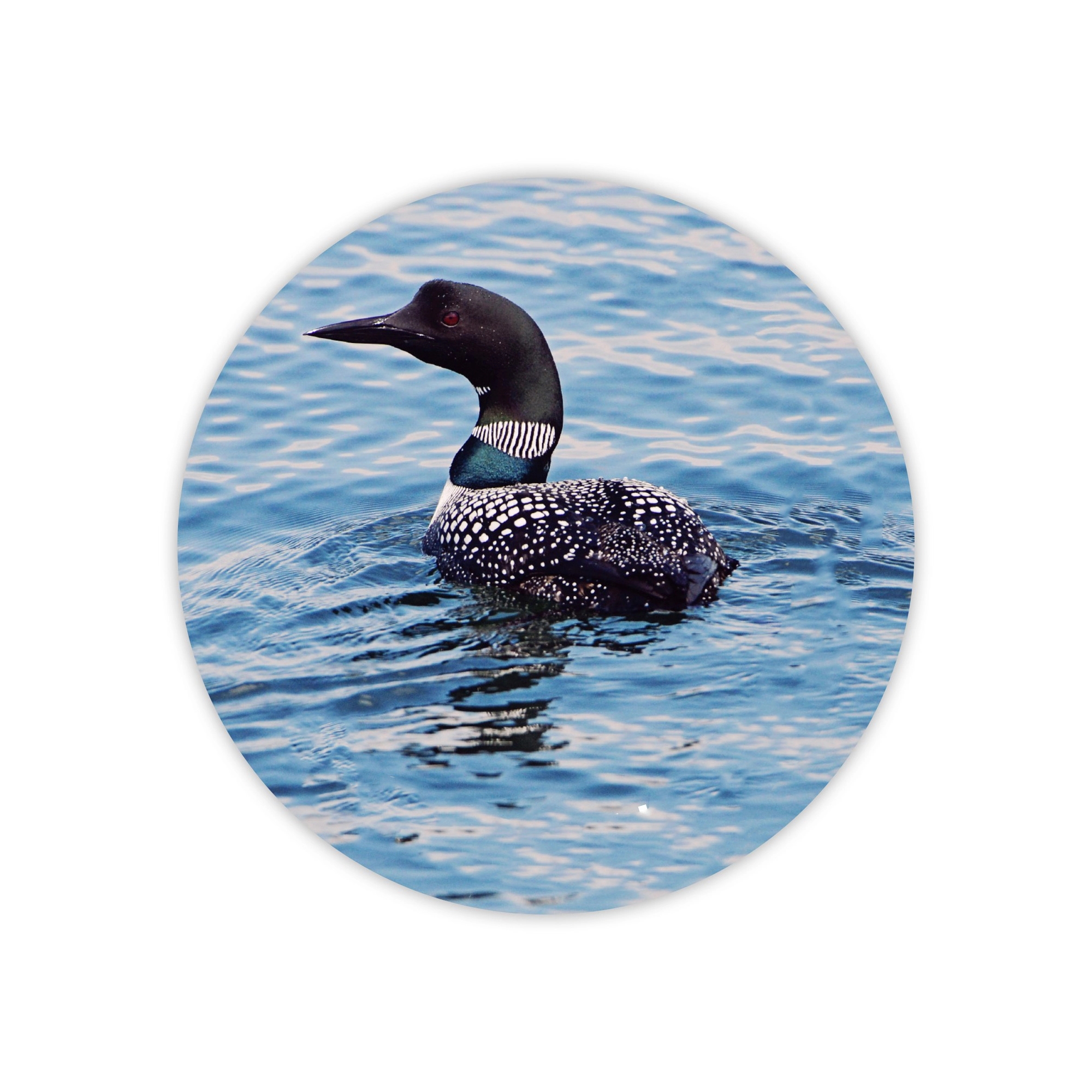Custom Full Color Square Round Paper Coaster MOQ500 3.5in 2