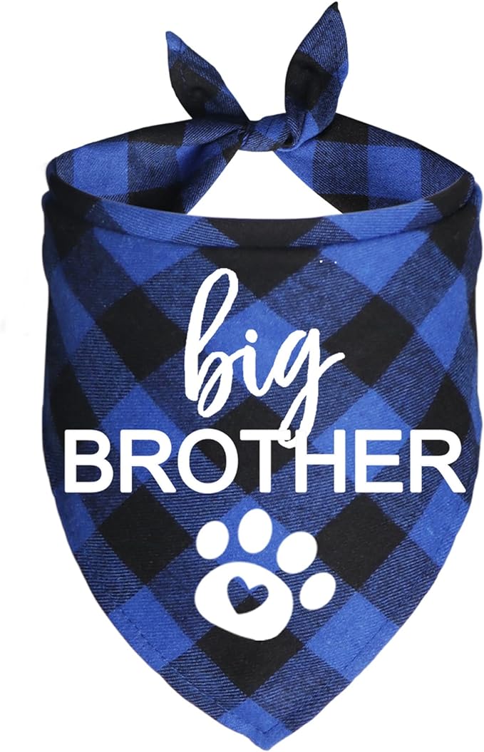 Big Brother Dog Bandana 2