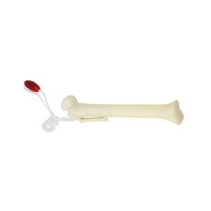 Bone Shaped Pen 6