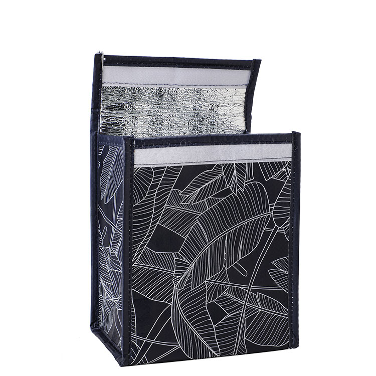 Cooler Bags