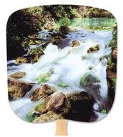 Scenic & Still Life Stock Cascade Fan
