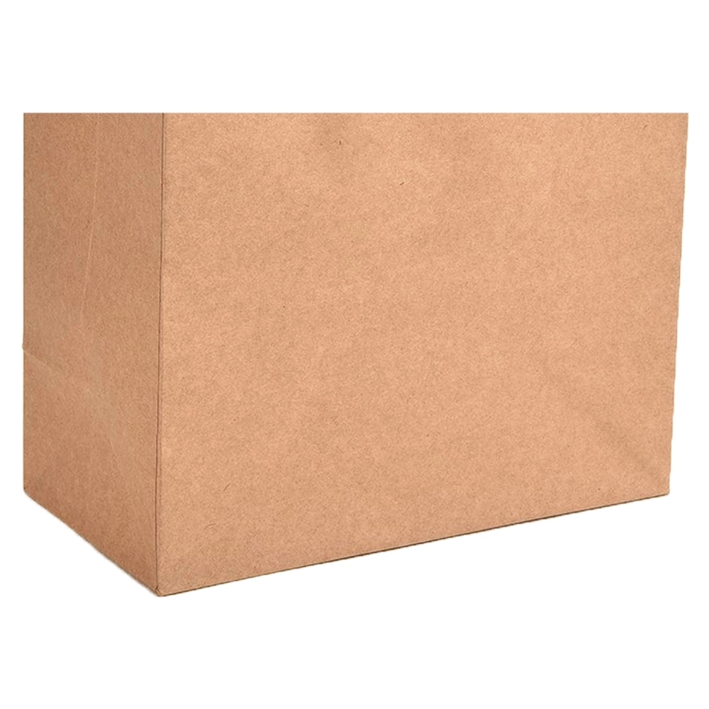 Kraft Paper Bags 14