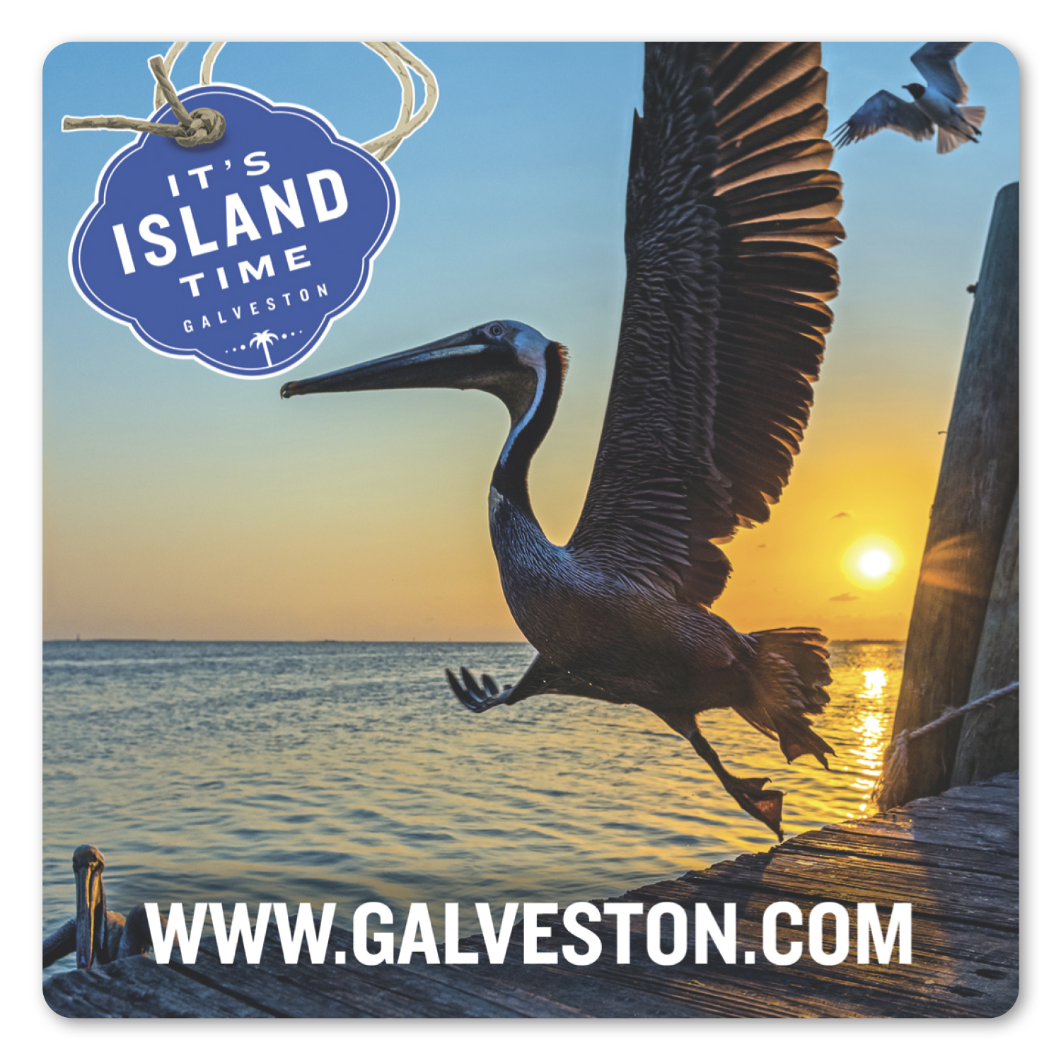 4 X 4 In SQ Repositionable Label