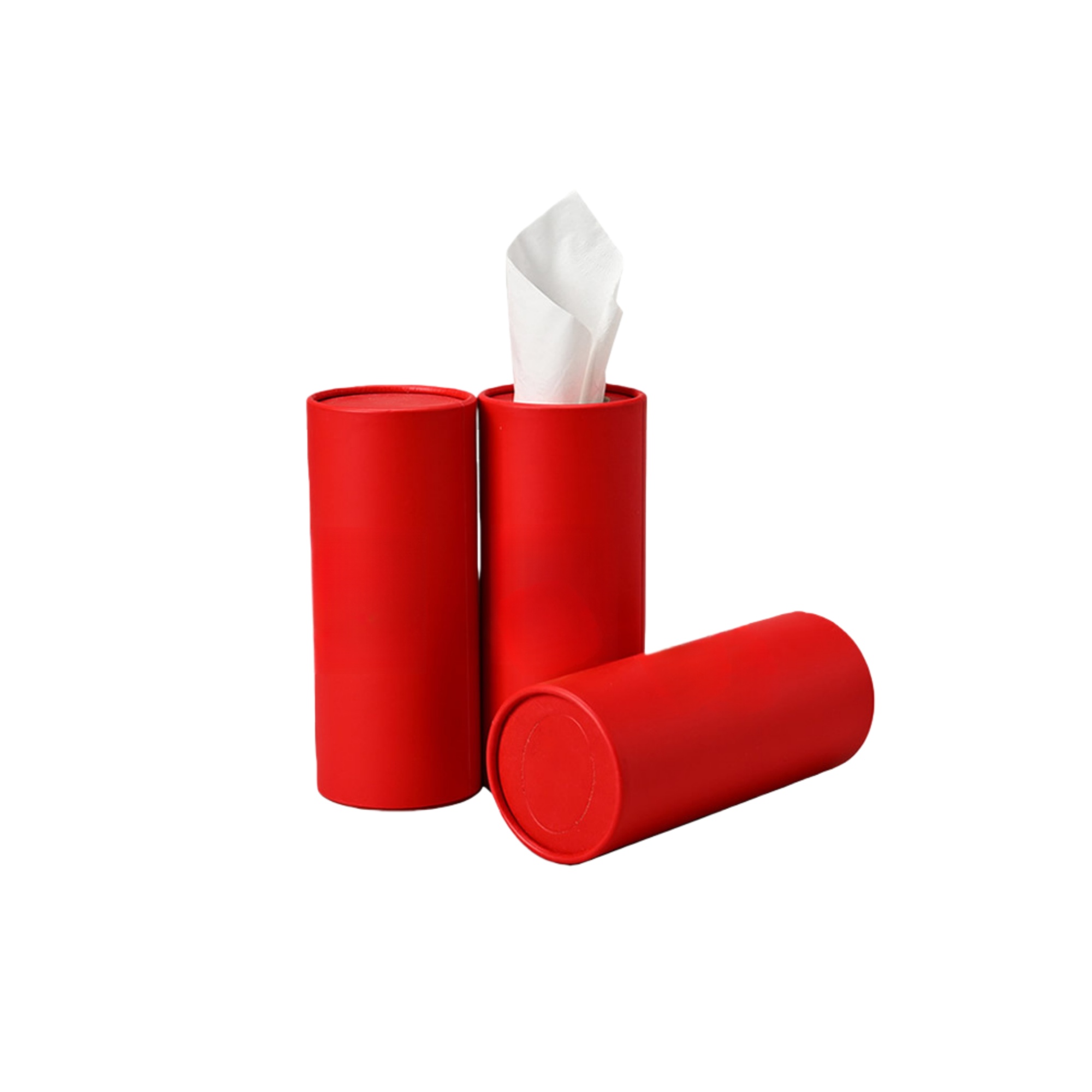 Travel Car Tissue Tube Container 2