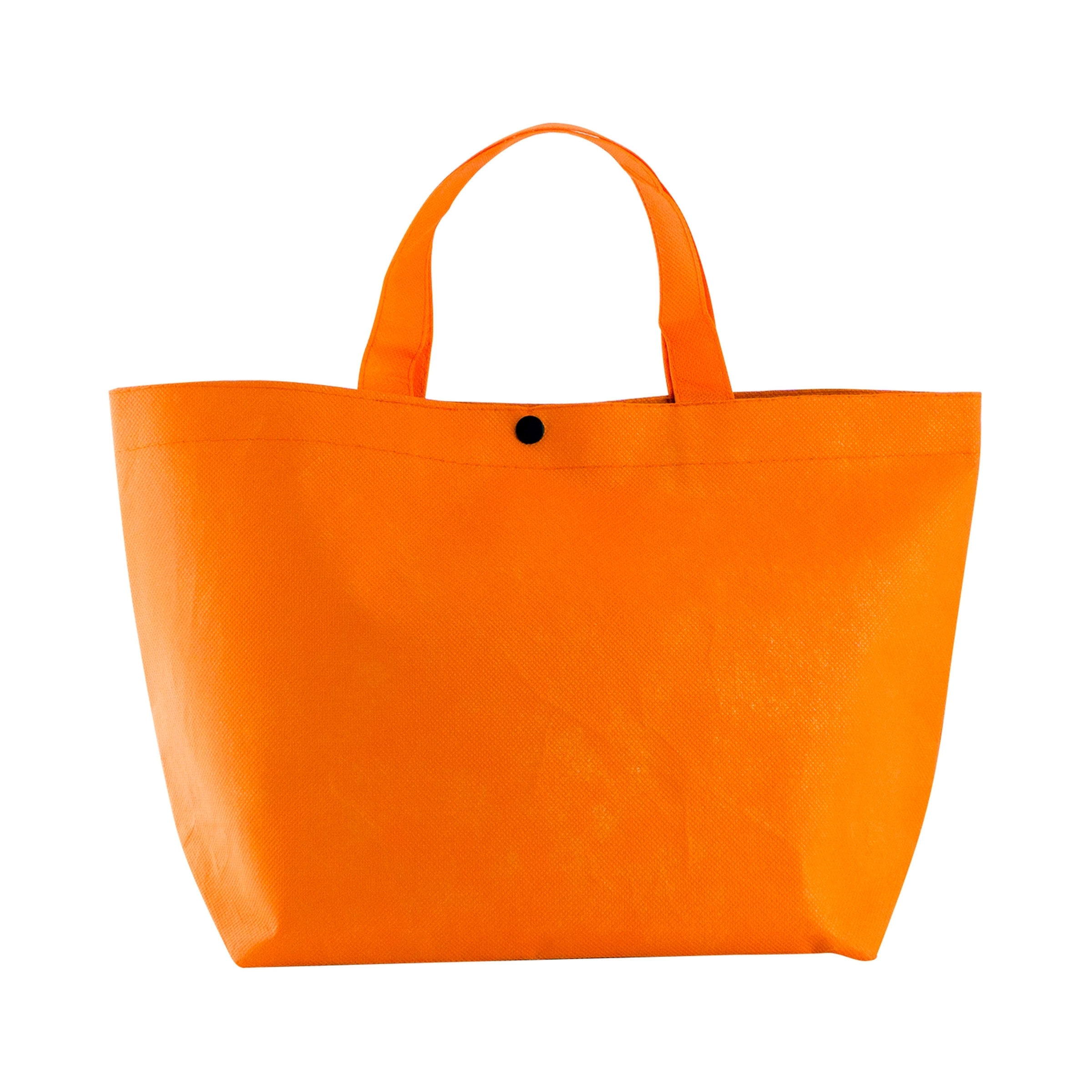 Snap Lunch Tote 14