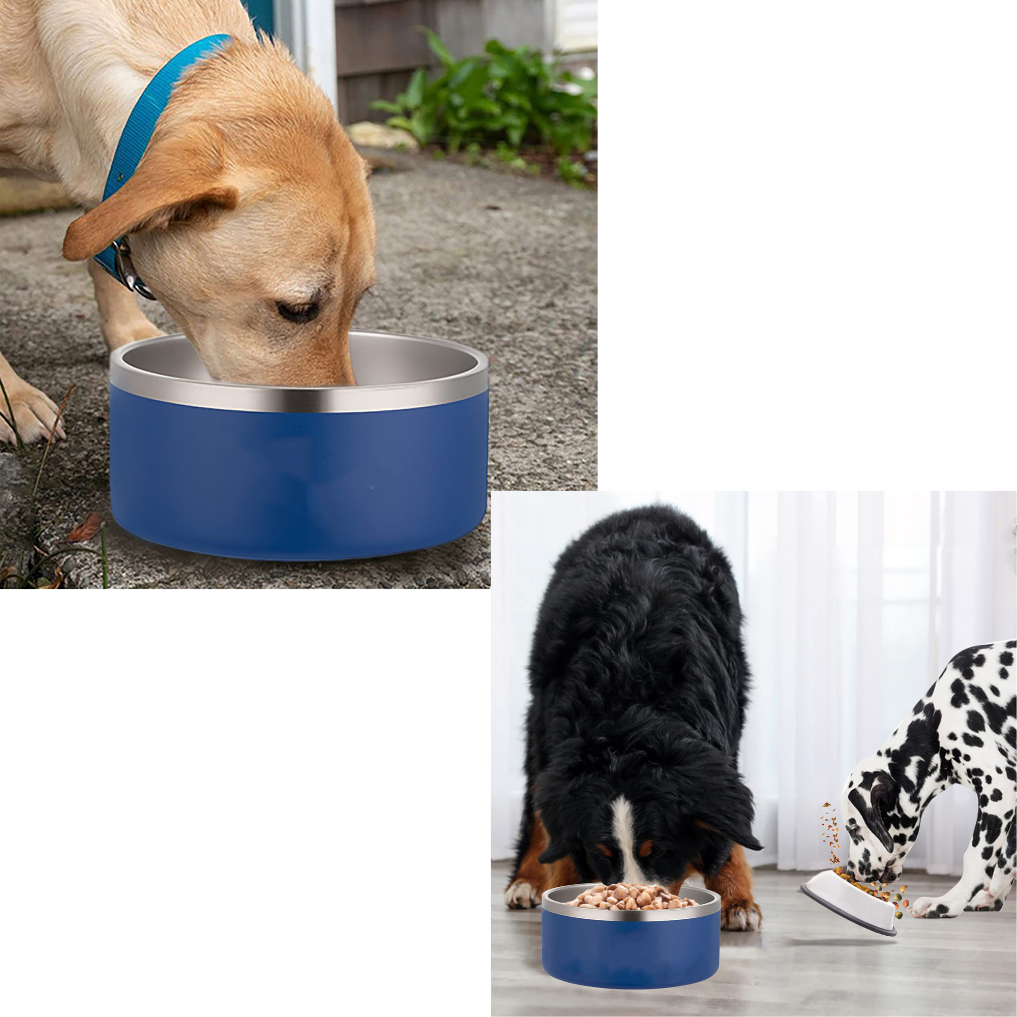 Stainless Steel Pet Bowl with Non-Slip Silicone Base 5