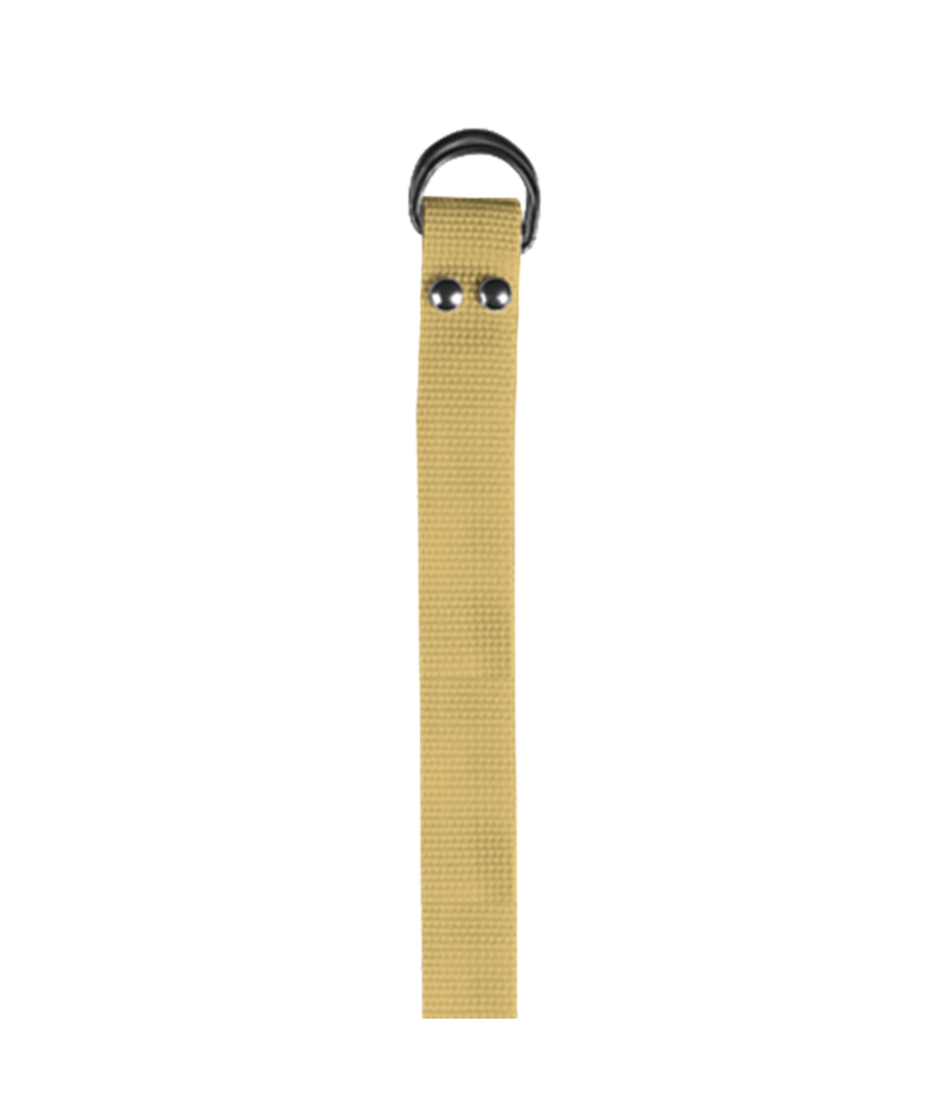 FOOTBALL BELT 10