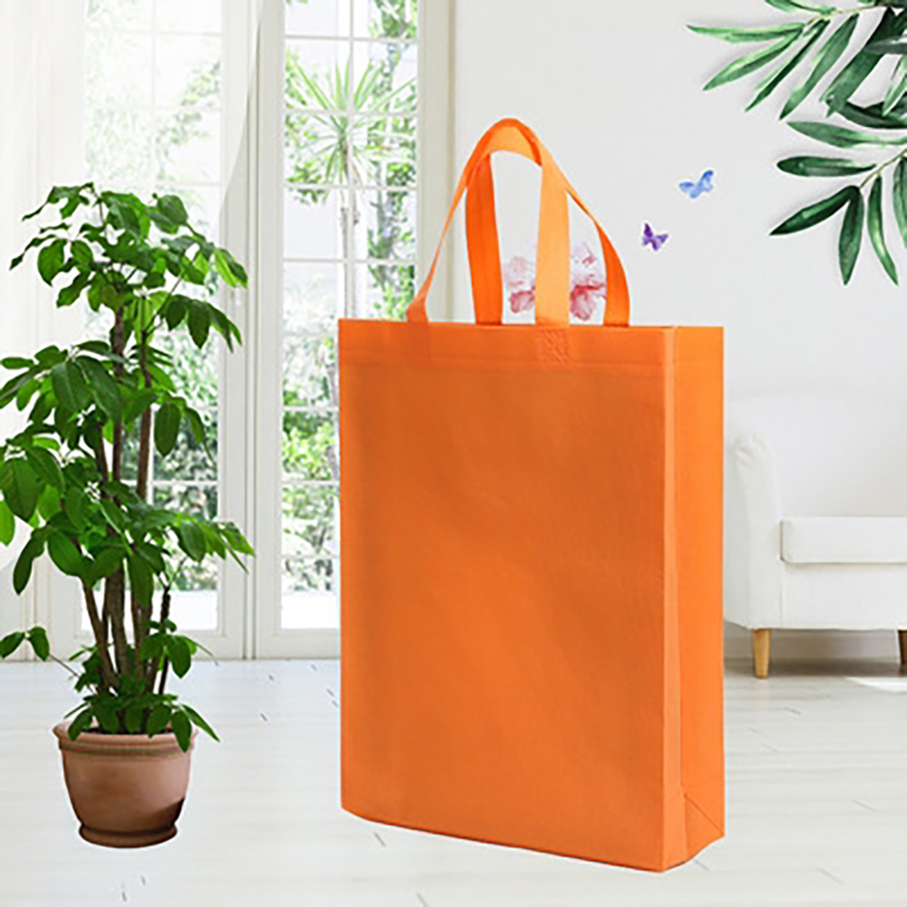 Non Woven Bag 1