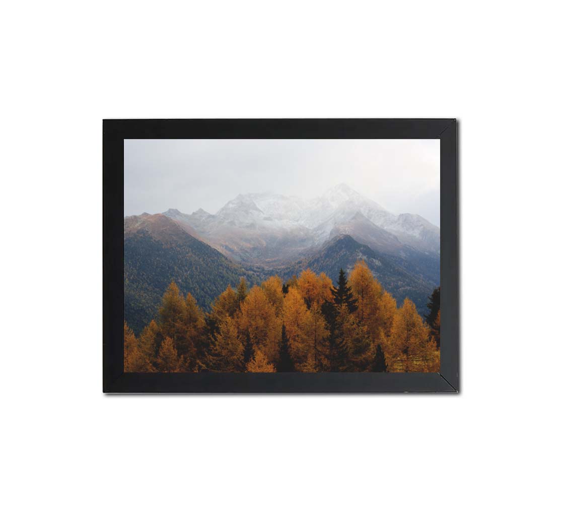 Poster Frames (1.5ft x 2ft) 4