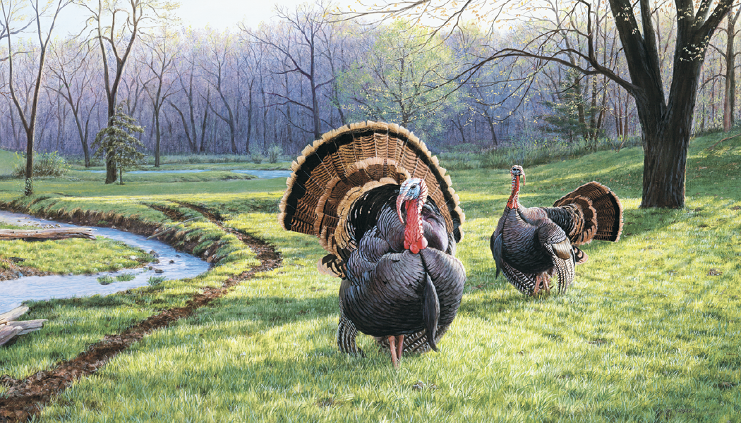 Triumph® Calendars Wildlife Art Calendar 34