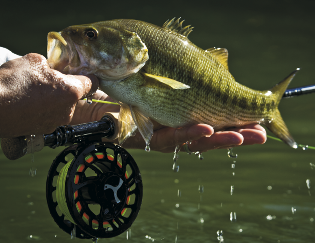 Good Value™ Fishing - Stapled Calendar 15