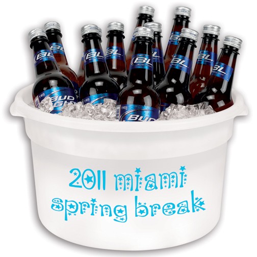 12 Bottle Plastic Party/Display Tub 2