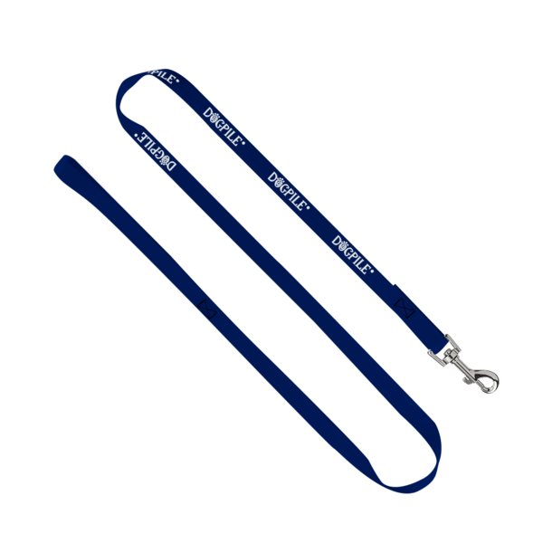 3/4" Smooth Nylon Pet Leash with Bright Metal Snap Hook