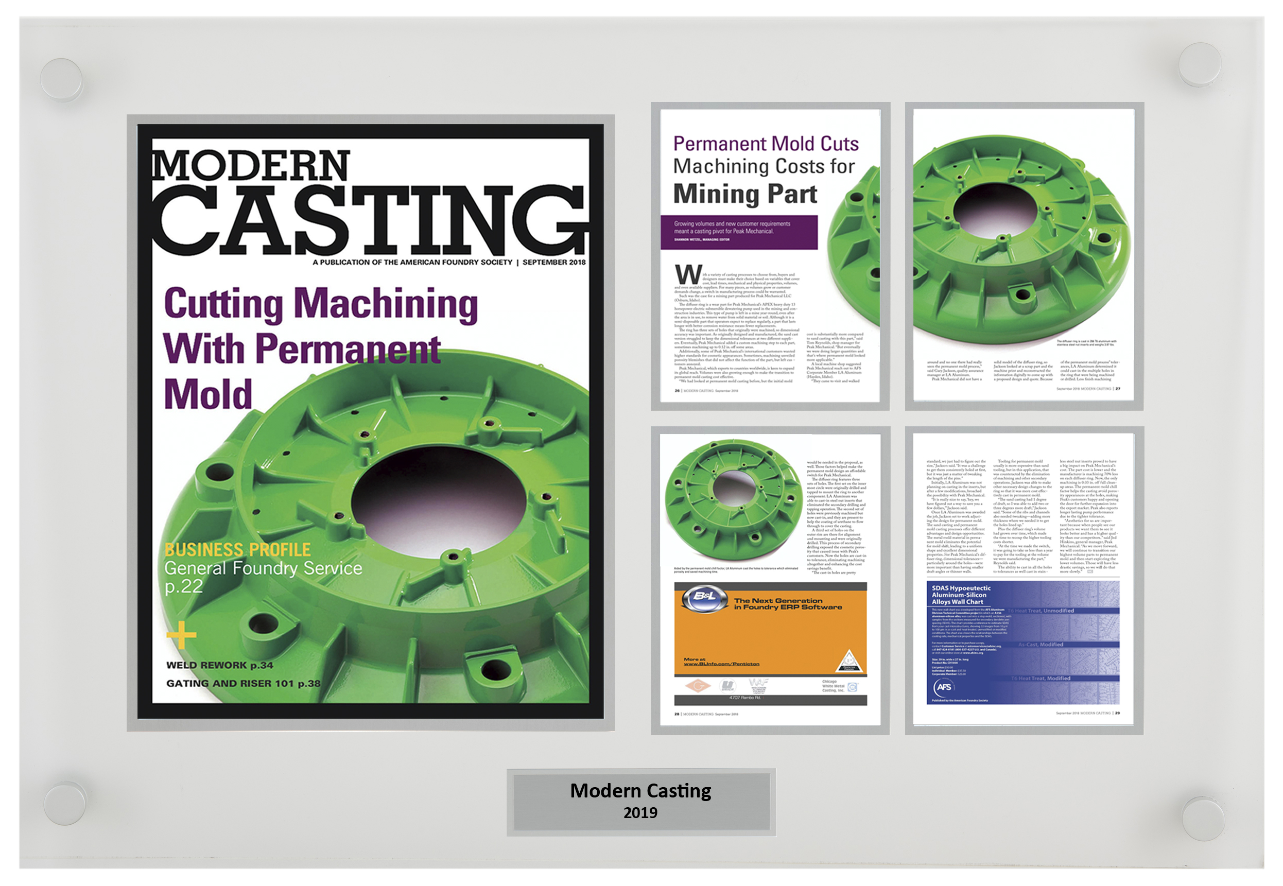 Celebrity Media Award Plaque