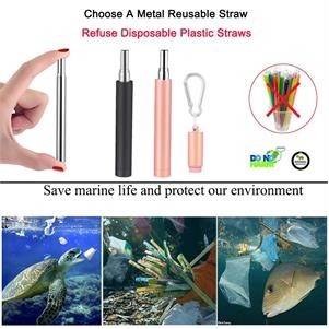 Stainless Steel Telescopic Straw 1