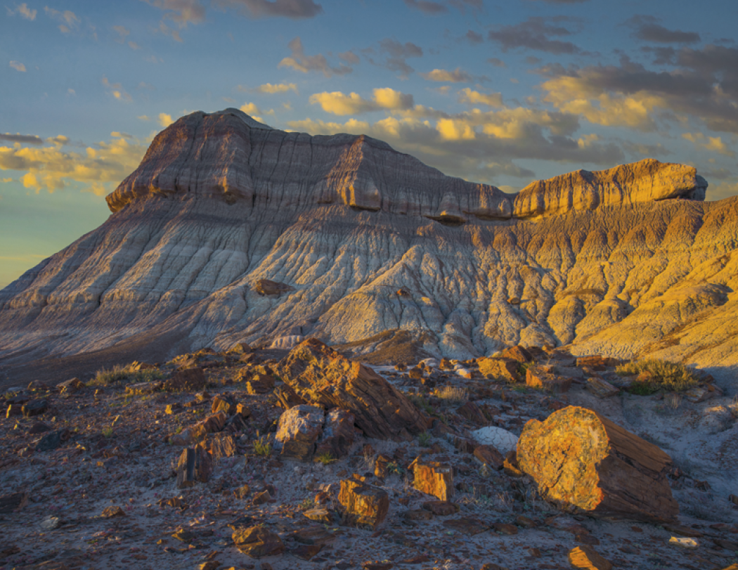 Triumph® Calendars National Parks Calendar 39