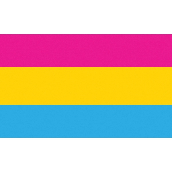 Pansexual Motorcycle Flag 1