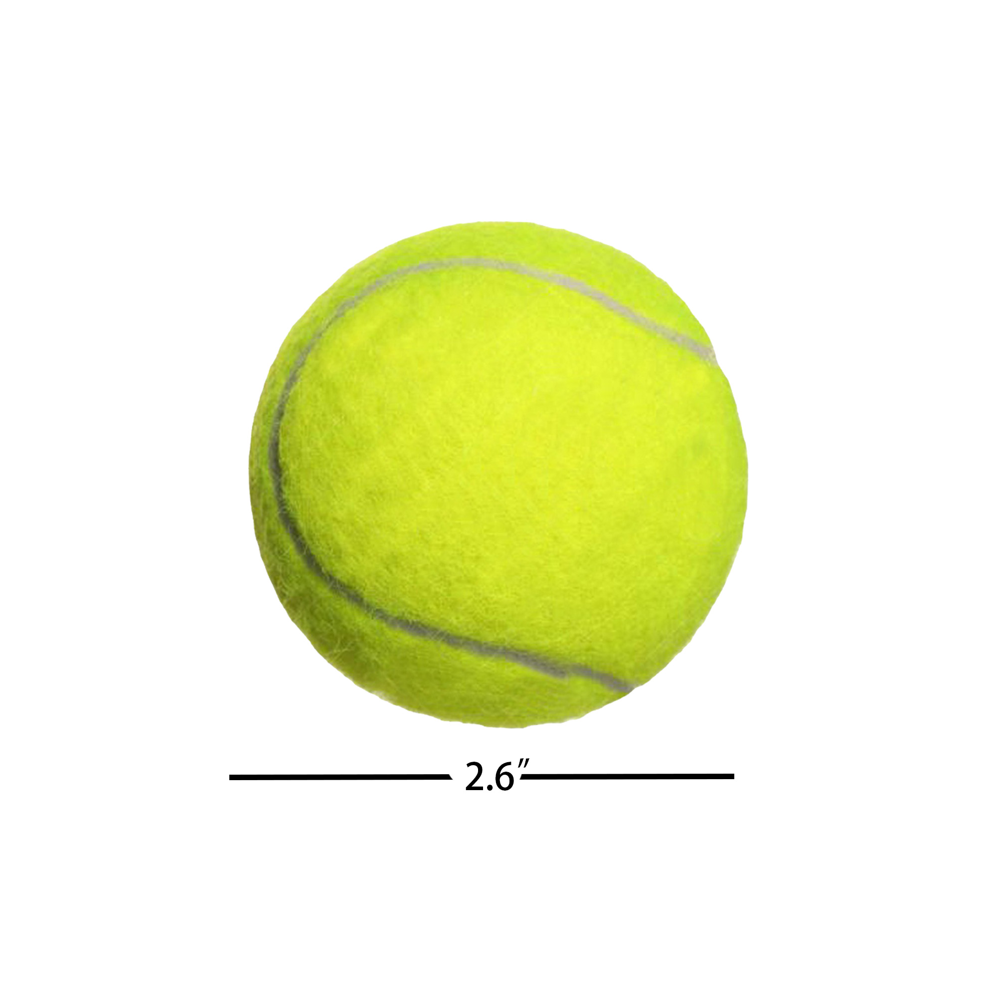 Pet Dog Playing Ball 3