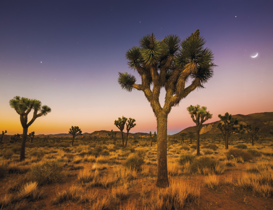 HotLine® Products California Appointment Calendar - Stapled 64