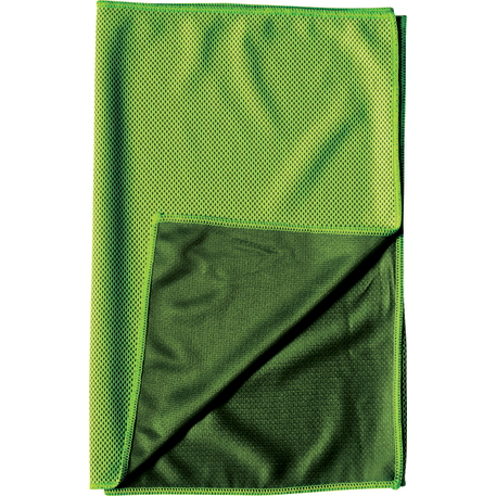 Alpha Fitness Towel 100