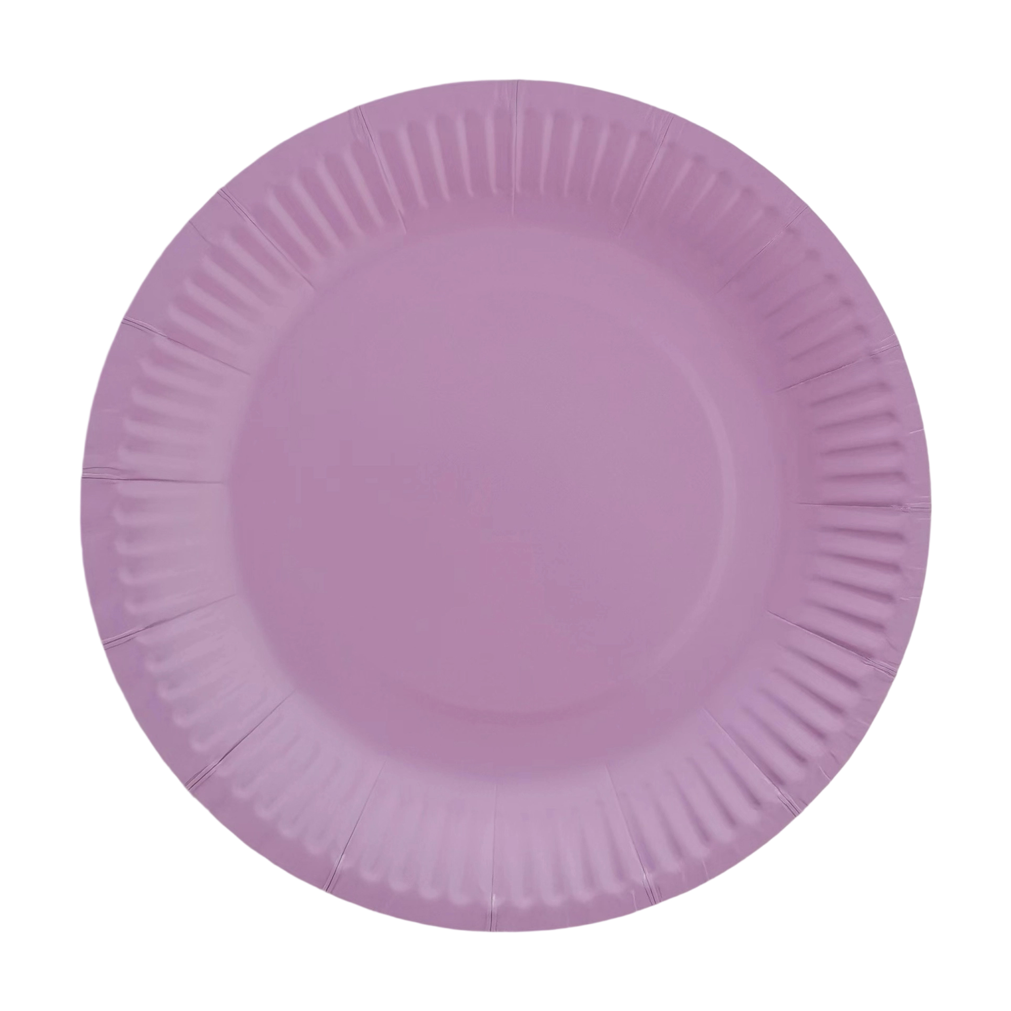 Nine Inch Party Paper Plate Food Safe Disposable 15