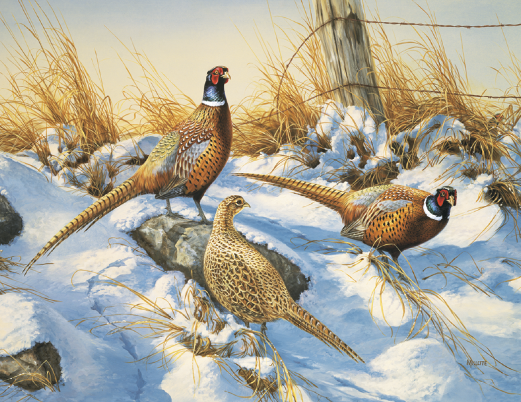 Triumph® Calendars Wildlife Art Calendar 39