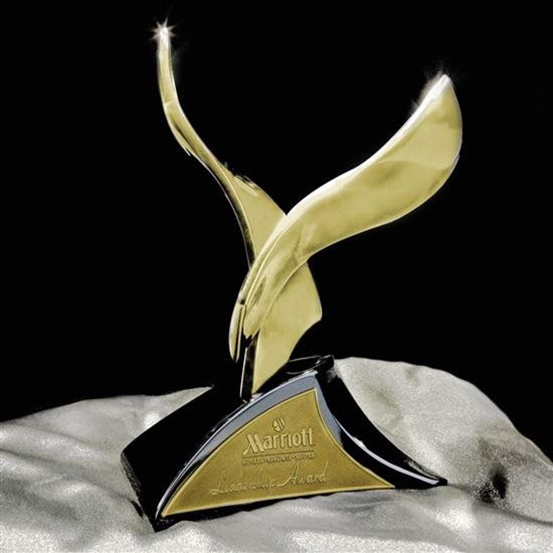 Intrepid Award 8