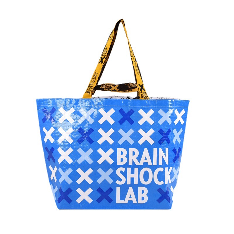 The Woven Bag/ Snakeskin Tote Bag 10