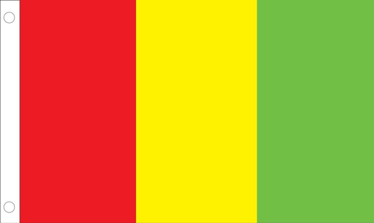 Guinea Flag - 3' x 5' - Nylon 2