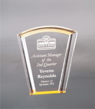 7" Gold Fan Halo Acrylic Award 2