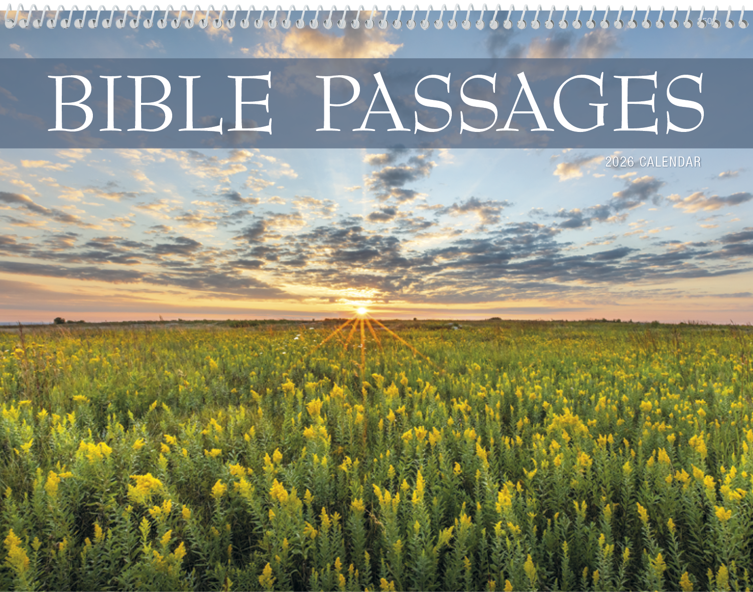 Triumph® Calendars Bible Passages Calendar 14