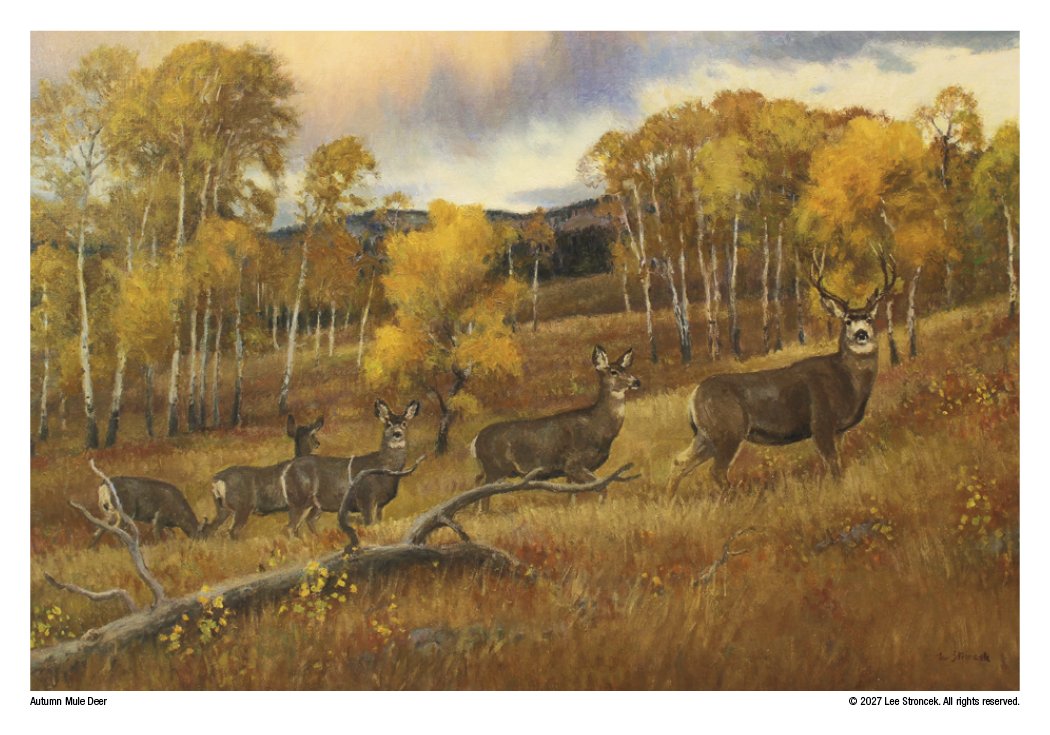 Triumph® Calendars Wildlife Art Calendar 49