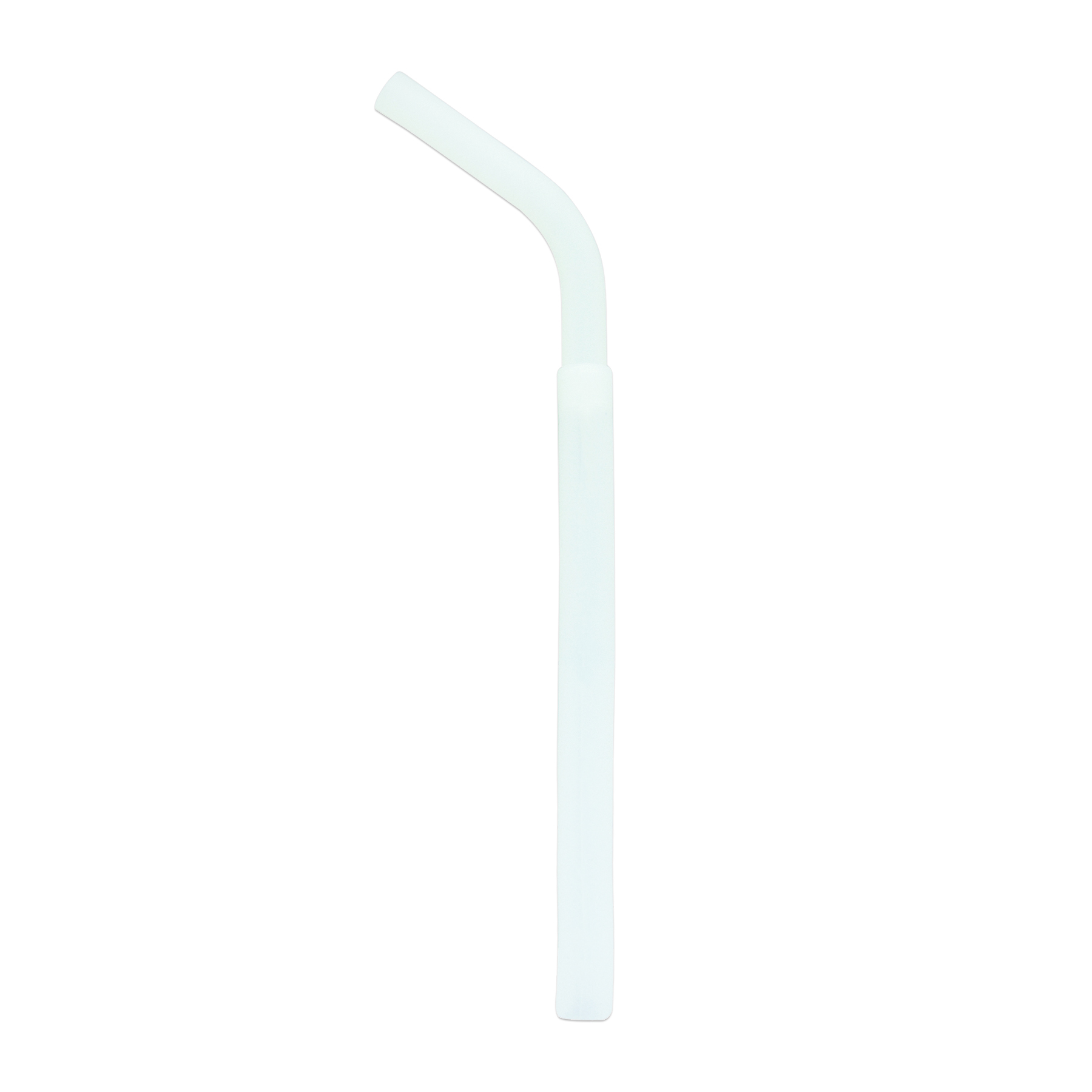 Splendid Silicone Straw 2