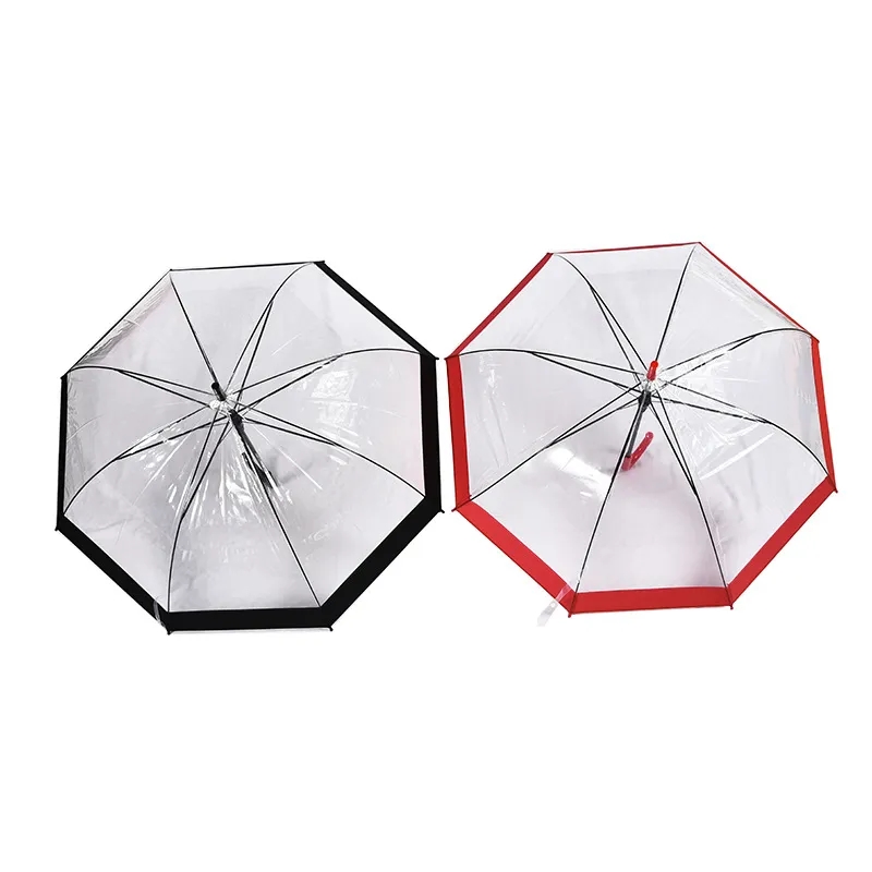 Clear and Transparent Umbrella 11