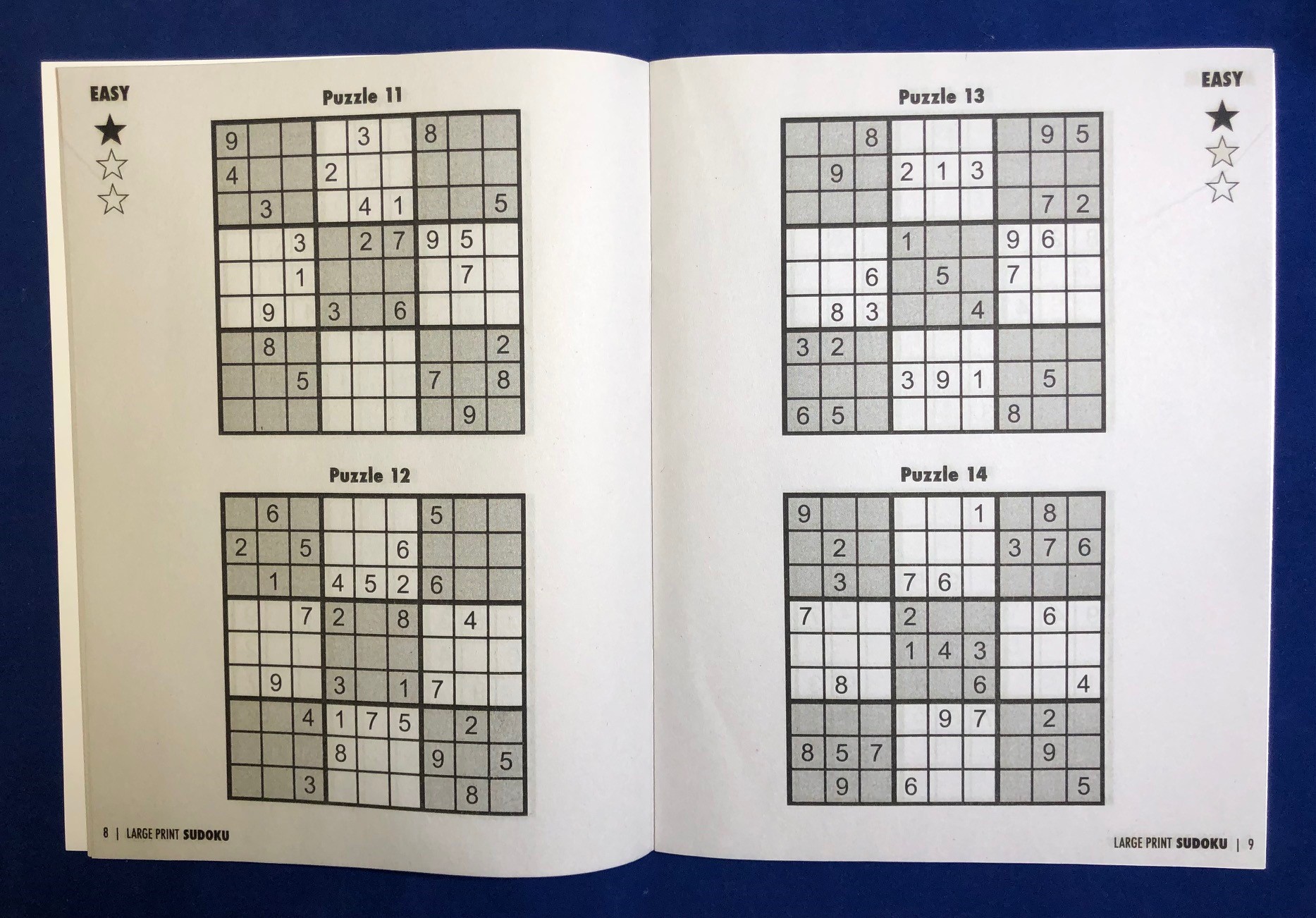 PUZZLE BOOK - LARGE PRINT Sudoku Puzzle Book - Volume 1 5