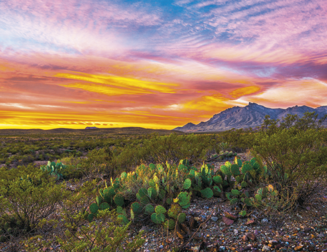 Triumph® Calendars National Parks Calendar 49