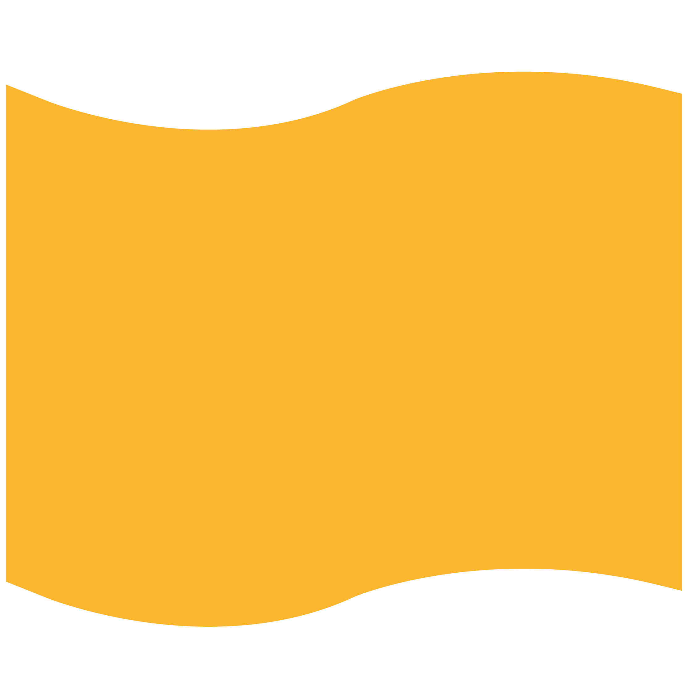 Foam Flag Mitt 23