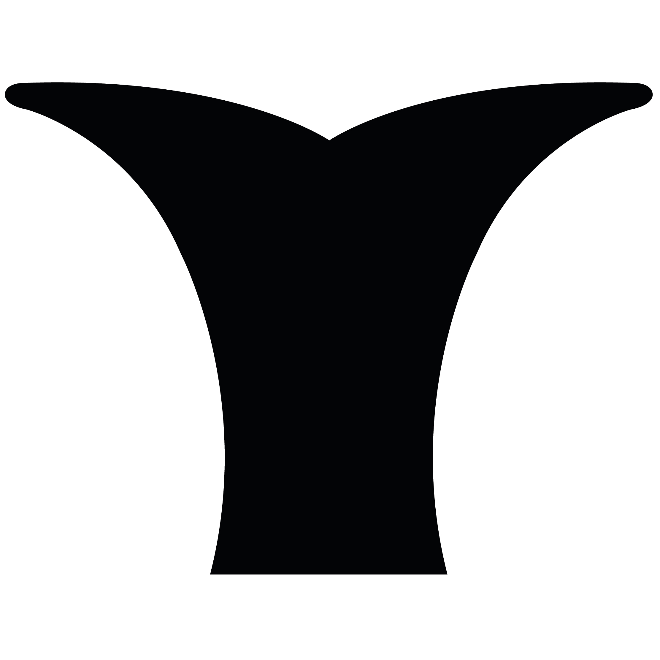 Whale Tail 17